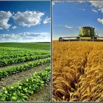 ۲٫۲ درصد، سهم البرز از تولید محصولات کشاورزی در کشور