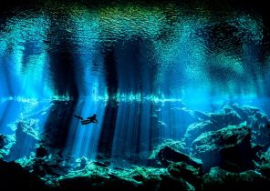 تصاویری شگفت‌آور از دنیای زیر آب در سال ۲۰۱۷+ ۱۰ عکس