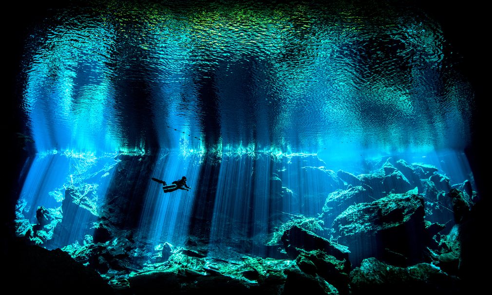تصاویری شگفت‌آور از دنیای زیر آب در سال ۲۰۱۷+ ۱۰ عکس