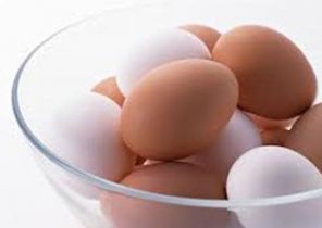مرغ و تخم مرغ محلی نخورید
