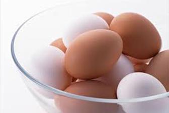 مرغ و تخم مرغ محلی نخورید