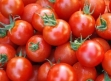 گوجه ۷۰۰۰ تومانی داد مردم را از گرانی درآورد