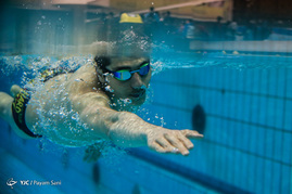 تمرین تیم ملی شنا‎