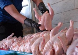 جولان دلالان و گرما عامل افزایش قیمت پیاز و مرغ در البرز/ فرهنگ نخریدن کالای گران باید در مردم نهادینه شود