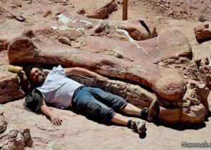 فسیل بزرگ ترین دایناسور کشف شد