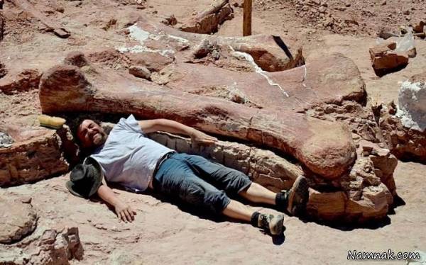 فسیل بزرگ ترین دایناسور کشف شد