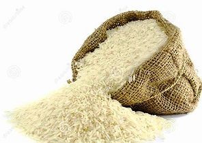 واردات برنج‌های لاستیکی و پلاستیکی به کشور صحت دارد؟