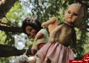 راز جزیره ترسناک عروسک‌ها در مکزیک+ تصاویر