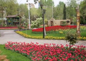 ششمین جشنواره لاله های کرج میزبان ۲۵۰ هزار گل لاله/ بزرگترین هایپر گل کشور در باغ گل ها افتتاح شد