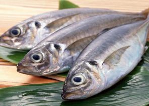 میزان مصرف ماهی در البرز پایین تر از استاندارد است/ ضرورت فرهنگسازی برای استفاده از آبزیان برای مقابله با بیماری ها