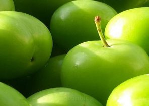 ریفلاکس معده؛ بلایی که گوجه سبز سرتان می‌آورد/ فرمولی ساده برای لاغری/ بی خوابی خود را با این خوراکی‌ها درمان کنید/ اکسیر سلامتی برای کلیه‌ها