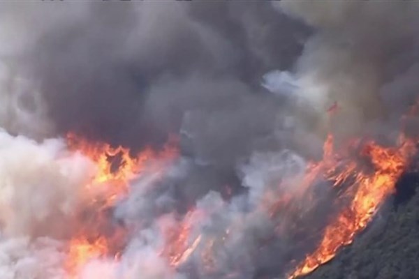 سرنوشت نامعلوم ۲۲۸ تن در حادثه آتش‌سوزی کالیفرنیا