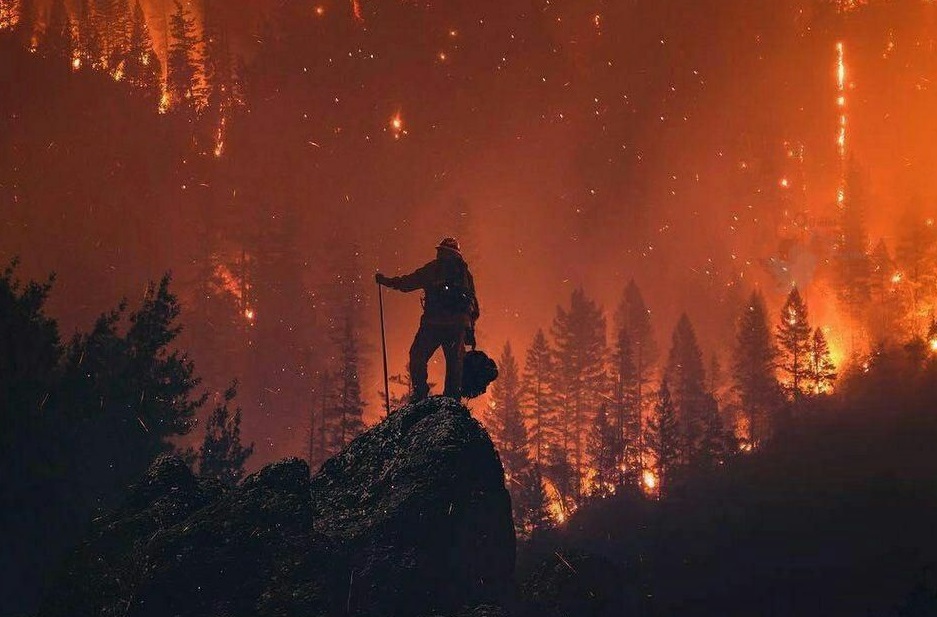 خانه کدام یک از بازیگران هالیوود در آتش کالیفرنیا سوخت؟ +تصاویر