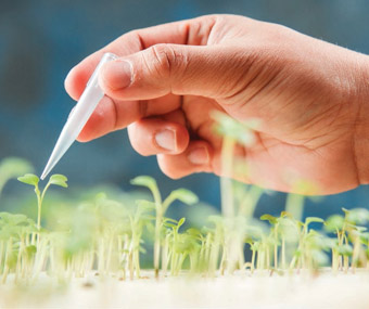 کتاب “۴۰ فناوری در حال توسعه” پژوهشگاه بیوتکنولوژی کشاورزی در کرج رونمایی شد/ تکنولوژی هاپلوئیدی، کشور را از واردات بذر بی نیاز می کند