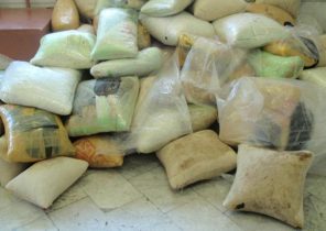 ۵ هزار کیلوگرم انواع مواد مخدر در البرز کشف شد