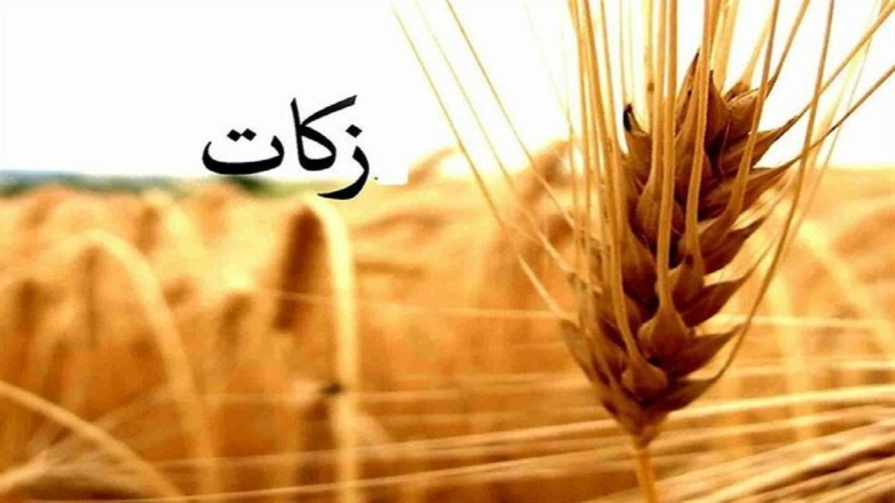 کشاورزان البرزی، رتبه نخست پرداخت زکات در کشور