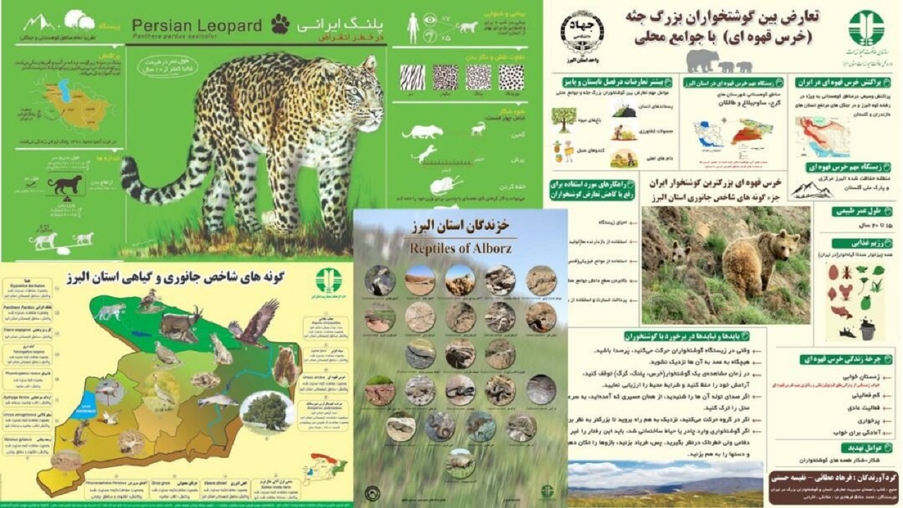 پوستر اینفوگرافی تنوع زیستی و جانوری البرز در فضای مجازی