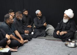 تصاویر | دیدار زائرین پاکستانی با آیت الله العظمی بشیر نجفی