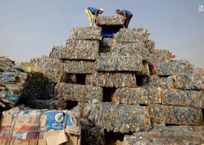 عکس/ اثر هنری مصری‌ها از بطری‌های رها شده