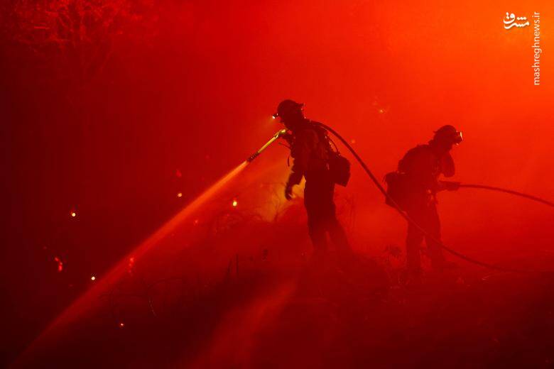 عکس/ ادامه آتش سوزی جنگل های کالیفرنیا