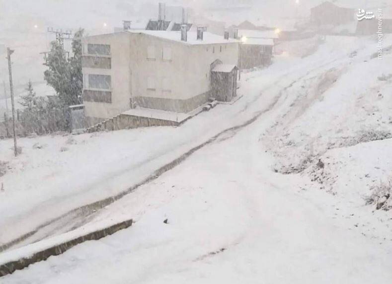 عکس/ بارش برف در ترکیه
