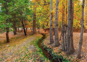 عکس/ صدای پای پاییز در کوچه باغ‌های‌ خوانسار