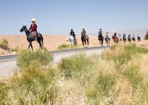 کاروان اسب‌داران حرم‌ تا حرم خراسان‌شمالی به سوی آستان رضوی رهسپار شدند