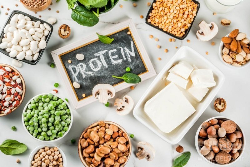 روزانه به چه میزان پروتئین نیاز داریم؟