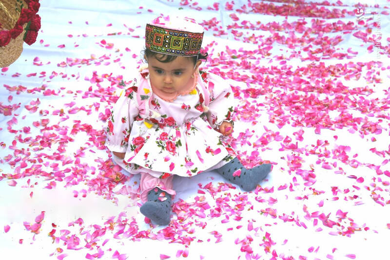 عکس/ جشنواره گل و گلاب‌گیری در گرمی