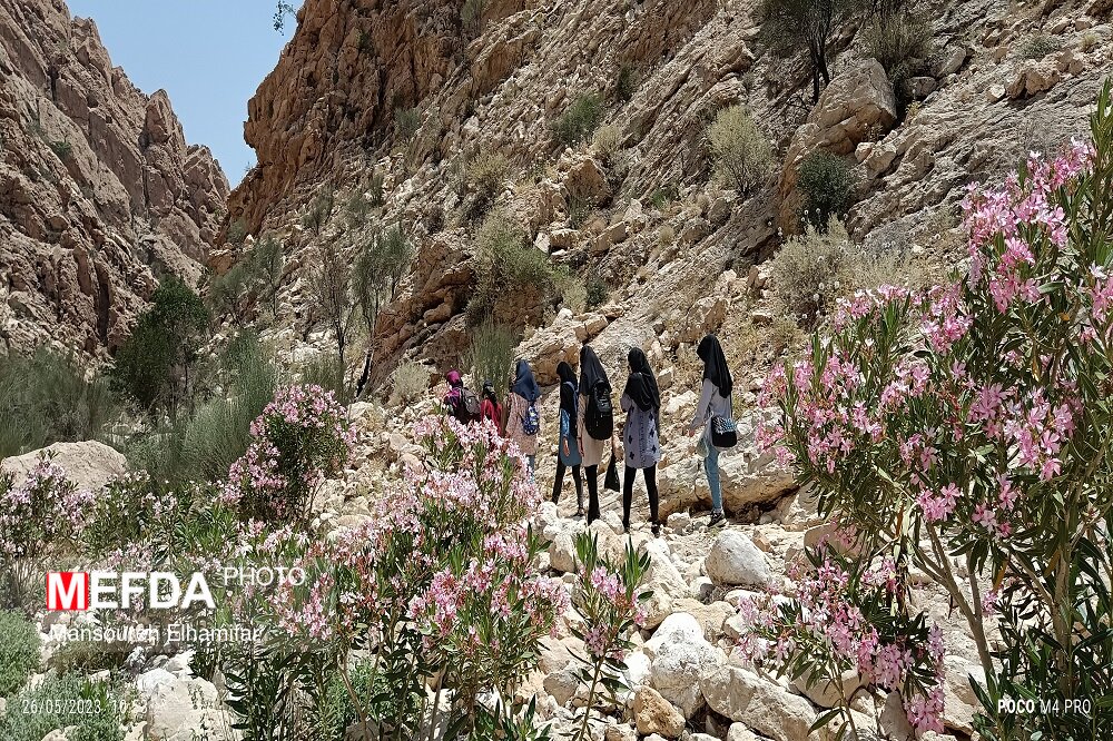 گزارش تصویری/ برگزاری اردوی یک روزه کوهنوردی دانشجویان دختر دانشگاه علوم پزشکی جهرم