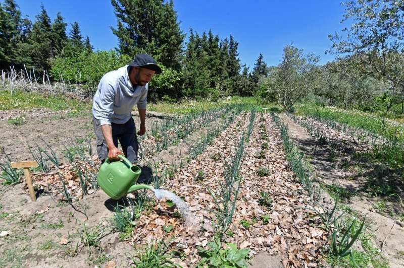 کشاورزی پایا؛ شیوه دوستدار محیط زیست برای دوران خشکسالی