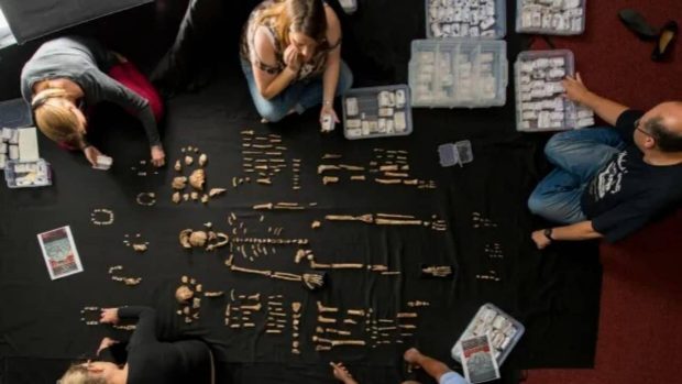 کشف قبری عجیب در آفریقا که داستان تکامل انسان را پیچیده تر کرده است! + تصاویر
