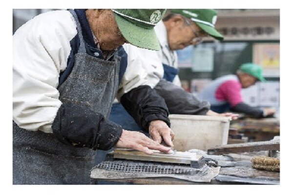پژوهش محققان دانشگاه تهران درباره سالخوردگی نیروی کار در ژاپن