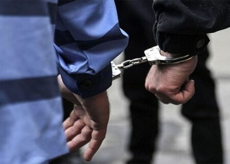 ۴۰ سارق در ساوجبلاغ دستگیر شدند