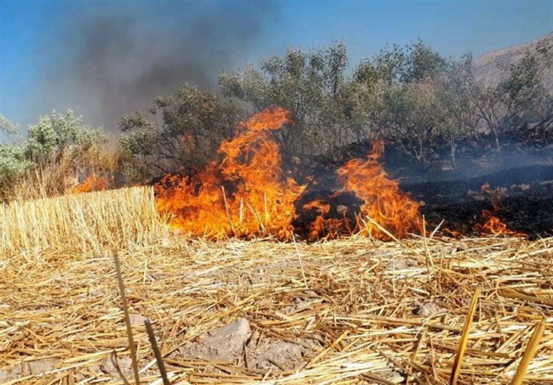 آتش‌سوزی در مراتع جاده چالوس