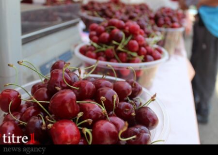 برگزاری جشنواره در مهد گیلاس استان البرز