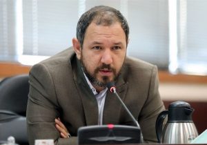 شوراها هنوز به نقطه مطلوب نرسیده‌اند