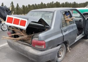 قاچاقچیان چوب تاغ به دام قانون افتادند