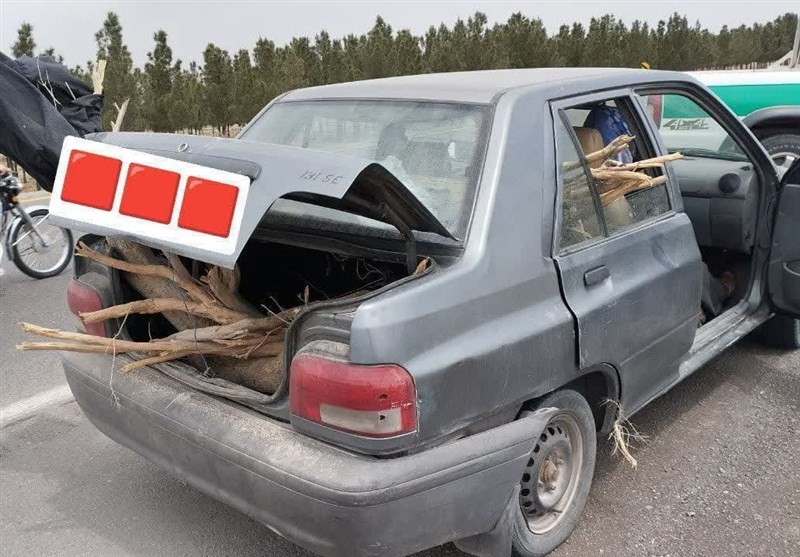 قاچاقچیان چوب تاغ به دام قانون افتادند