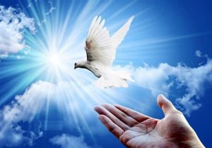 نجات مادر محکوم به قصاص پس از ۳ سال حبس