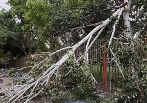 گردوخاک استان البرز را در بر می‌گیرد