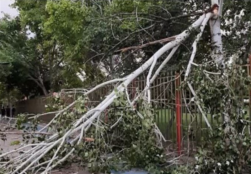 گردوخاک استان البرز را در بر می‌گیرد