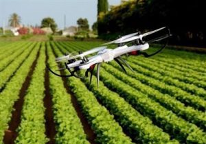 البرز در کشاورزی دانش‌بنیان در کشور پیشتاز است