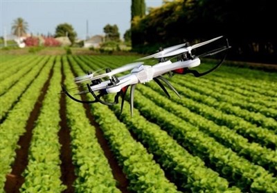 البرز در کشاورزی دانش‌بنیان در کشور پیشتاز است