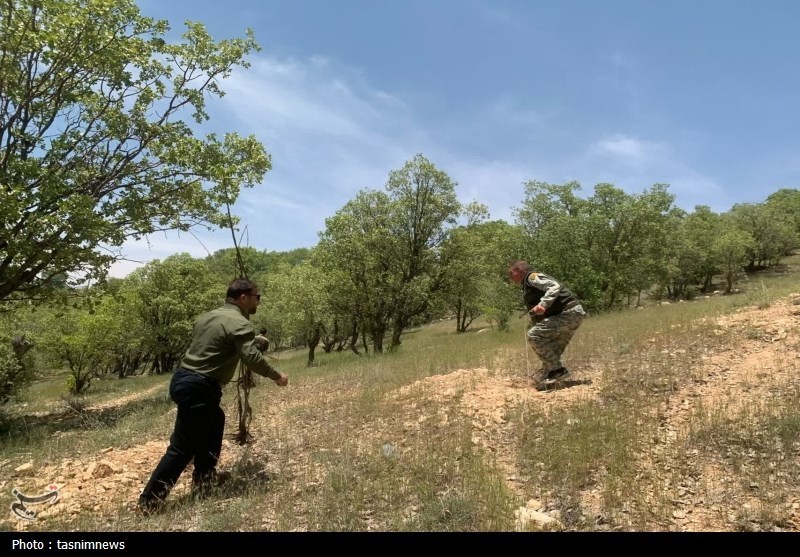 خواب سودجویان برای تصرف ۱۵۰ هکتار از اراضی زراعی چهارباغ