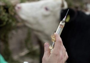 رزمایش ملی جهاد دامپزشکی در طالقان برگزار شد