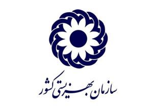 سازمان بهزیستی به‌تنهایی می‌تواند یک وزارتخانه باشد