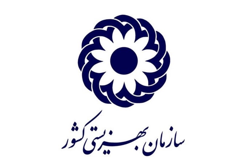 سازمان بهزیستی بهتنهایی میتواند یک وزارتخانه باشد