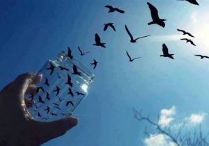 نجات ۱۰ زندانی با صدای زنگ مهربانی در مدارس البرز