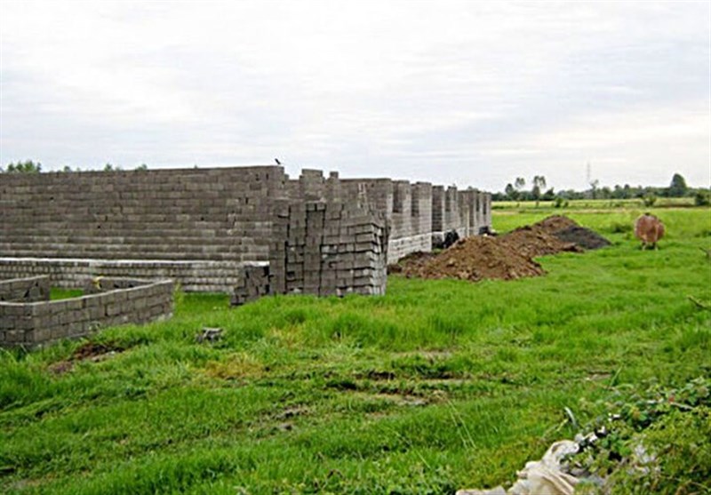 کشف تغییر کاربری ۱۵ هزار هکتار از اراضی زراعی استان البرز